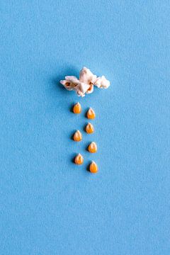 Popcorn wolk klein l Food fotografie van Lizzy Komen
