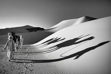 Sahara-Wüste. Männer vom Stamm der Tuareg. Kamelkarawane.
