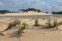 Drunense Duinen