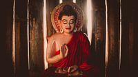 Boeddha in Chin Mudra (C) van Cine Prem thumbnail