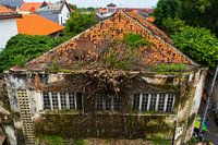 A tree with a building
