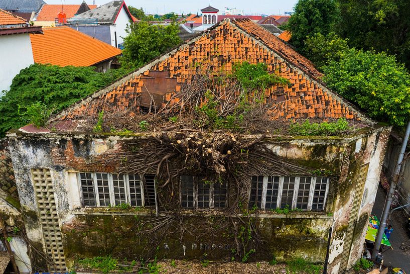 A tree with a building by Martijn Stoppels