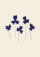 Blauwe zuring