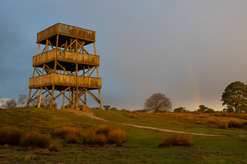 View tower Aekingerzand illuminated by rising sun with rain forest.