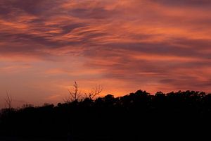 Abendhimmel