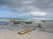 Wrakhout bij het zeegat tussen Ameland en Terschelling van Jan Huneman thumbnail