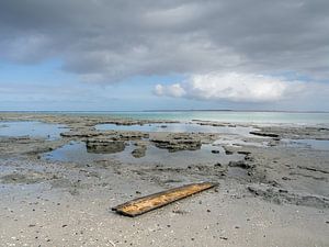 Wrackteile in der Fahrrinne zwischen Ameland und Terschelling von Jan Huneman