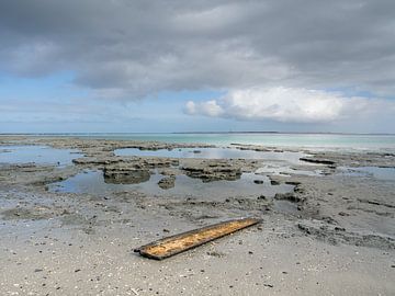 Wrakhout bij het zeegat tussen Ameland en Terschelling van Jan Huneman