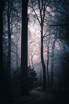 Bospad in de paarse mist, winterse stilte