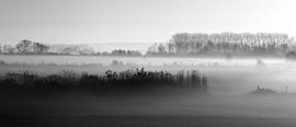 Mistig landschap Oud-Zevenaar