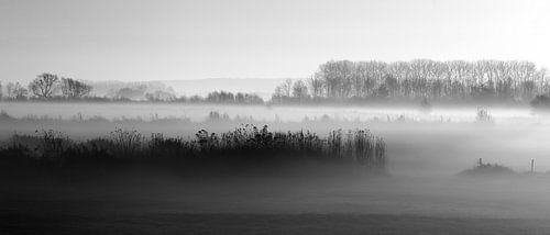 Mistig landschap Oud-Zevenaar by Alina van Lierop