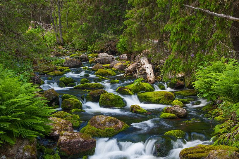 Nationaal Park Fulufjället (Zweden) van Albert de Vries
