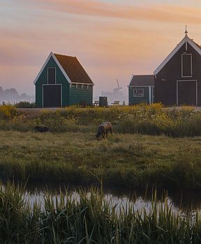 Zaaanse Schans bij zonsopkomst