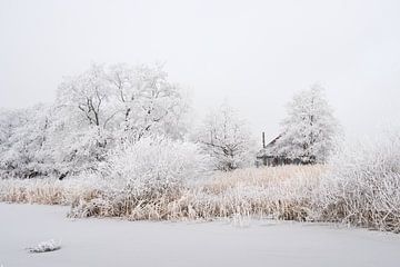 winters sfeerplaatje van Ton Valk