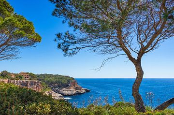 Mallorca, schöne Küste von Santanyi, Spanien Balearische Inseln von Alex Winter