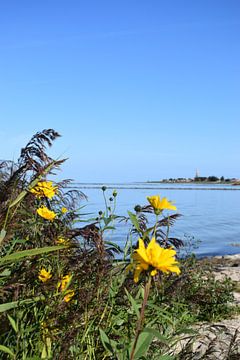 Vrolijke zomerdag van Hindeloopen Natuurlijk