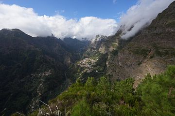 Madère Sunny Side épisode 5