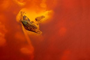 Abstraktes Bild des Rio Tinto, Spanien