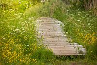 Bridge in nature