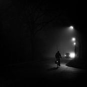 Sjoerd Lammers Profile picture