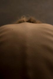 Untitled by Wendy Bos