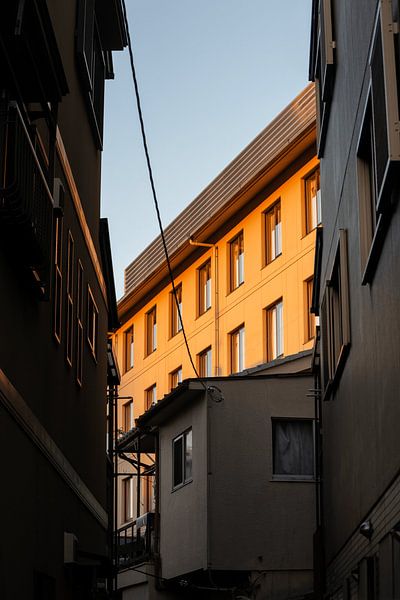Japanese Lane at Orange sunlight by Stella Ammerlaan