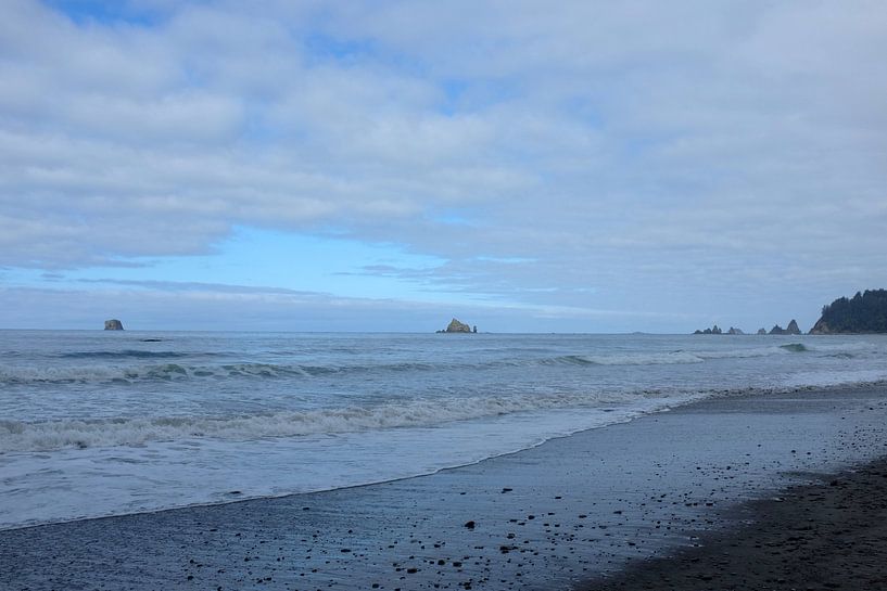 'Olympic State park', Washington by Martine Joanne