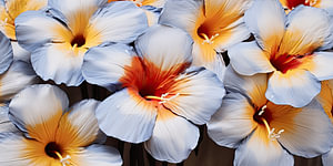 Blumen
