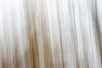 Autumn at Forest House Three, abstract #6