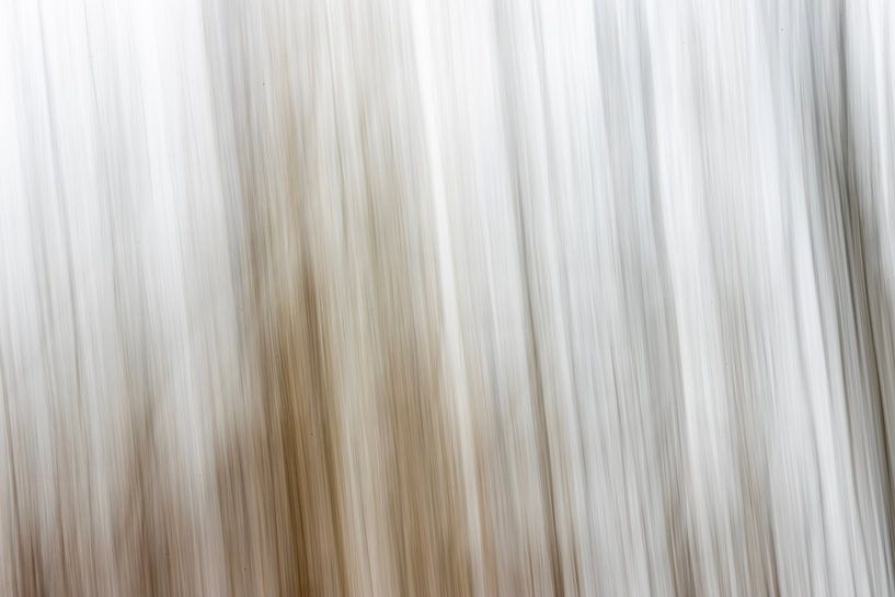 Automne à Forest House Three, abstrait #6 par Hans de Waay