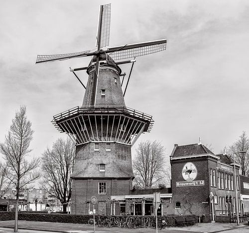 Mill the Gooyer and Brewery the IJ.