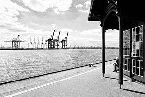 Stahlgiraffen im Hamburger Hafen