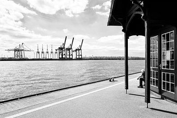 Stalen giraffen in de haven van Hamburg van Heiko Westphalen