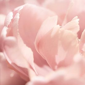 Se sentir en sécurité. sur Alie Ekkelenkamp