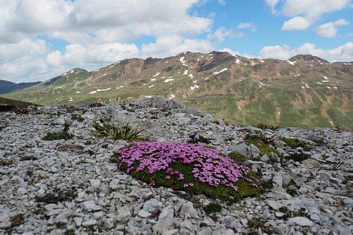De majestueuze bergwereld rond Piz Rims in Zuid-Tirol