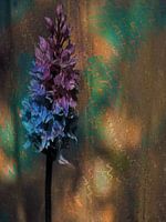 Une fleur d'été sur un fond chatoyant à motifs