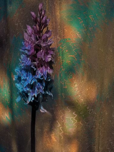 A summer flower against a patterned, shimmering background