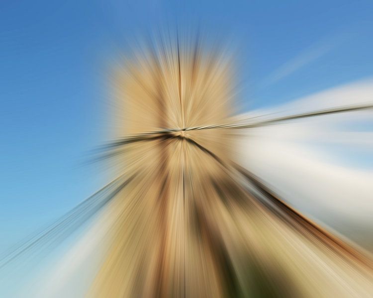 Stroh von Dagmar Marina