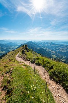 Wanderweg vom Hochgrat Richtung Hochgratbahn und Bodensee