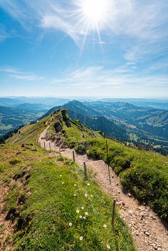 Wandelpad van Hochgrat naar Hochgratbahn en Bodensee