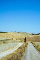 Toskanische Wege und Hügel im Val d'Orcia