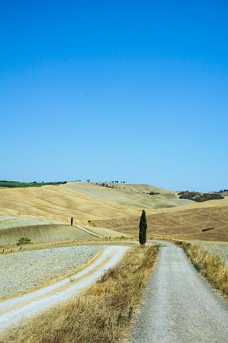 Toscaanse paden en heuvels bij de Val d'Orcia