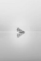 eilandje in de mist