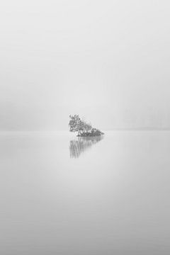 îlot dans le brouillard sur Peter Smeekens