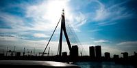 Erasmusbrug van Sense Photography thumbnail