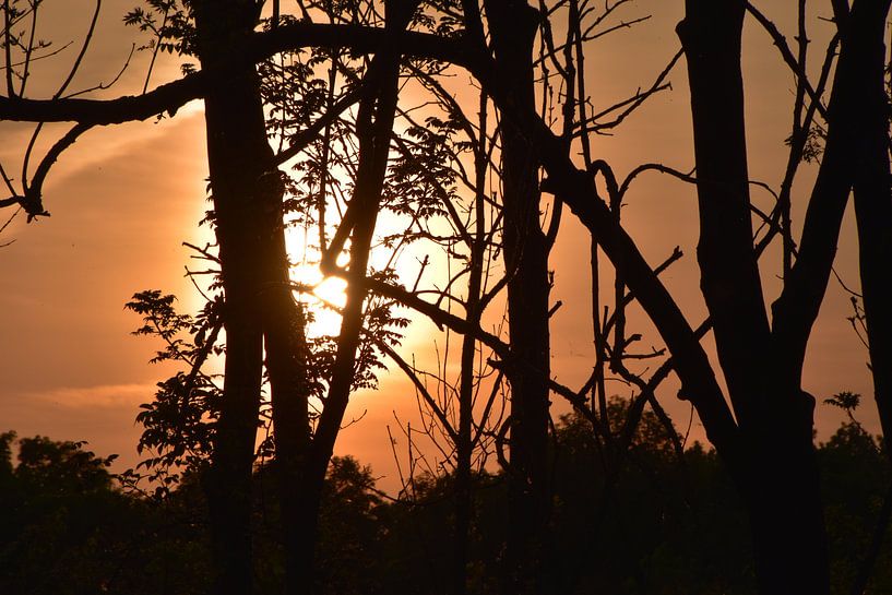 Sunset by Naomi Visser