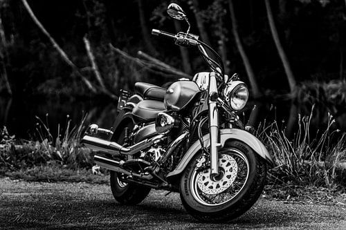 Suzuki Volusia VL800