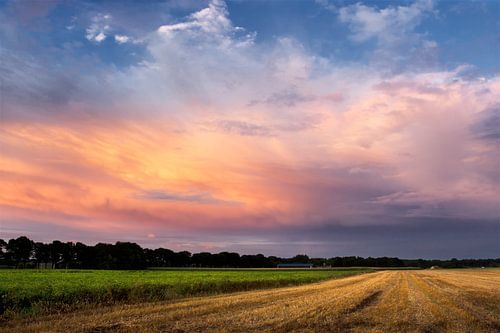 Paysage coloré de la Drenthe