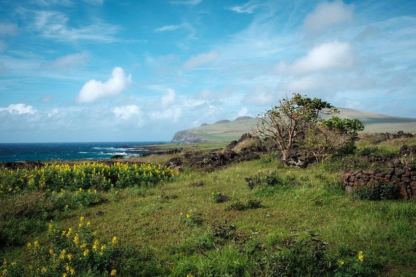 Het landschap van Paas eiland van Sebastiaan Bergacker