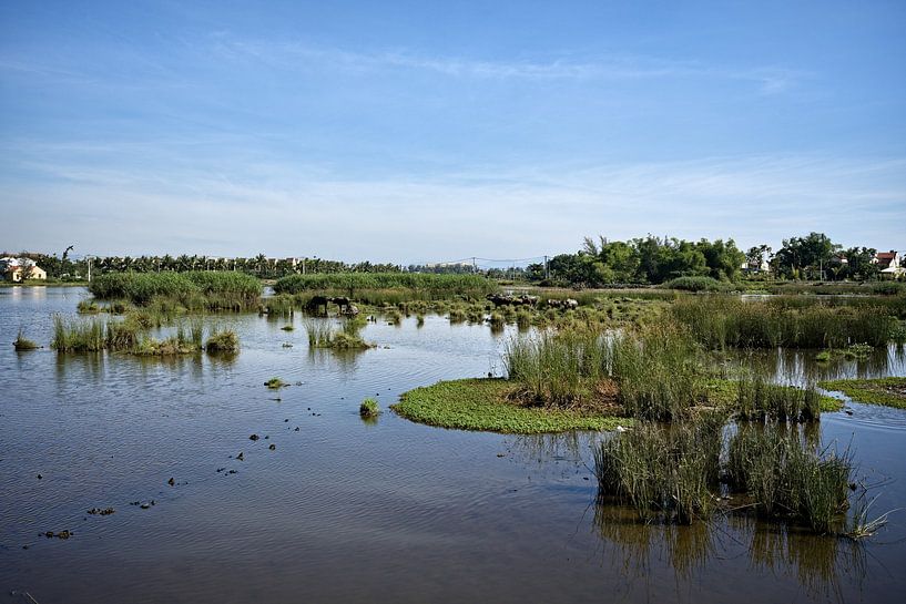 Flooded rural landscape in central Vietnam by Frank Photos